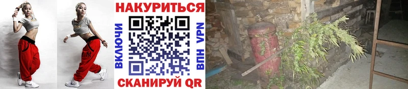 Шишки марихуана AK-47  купить  сайты  Бабушкин 
